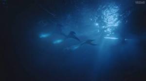 1380573_583058368422630_608714932_n