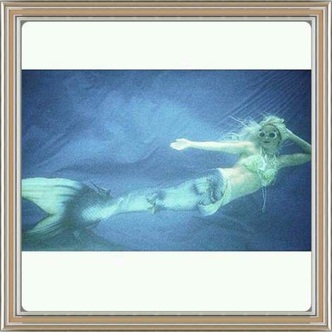 FB_IMG_1519110202074