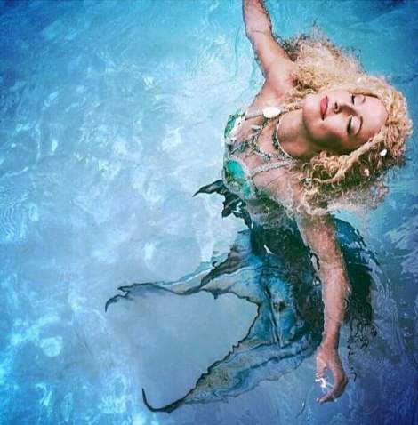 FB_IMG_1519110841624